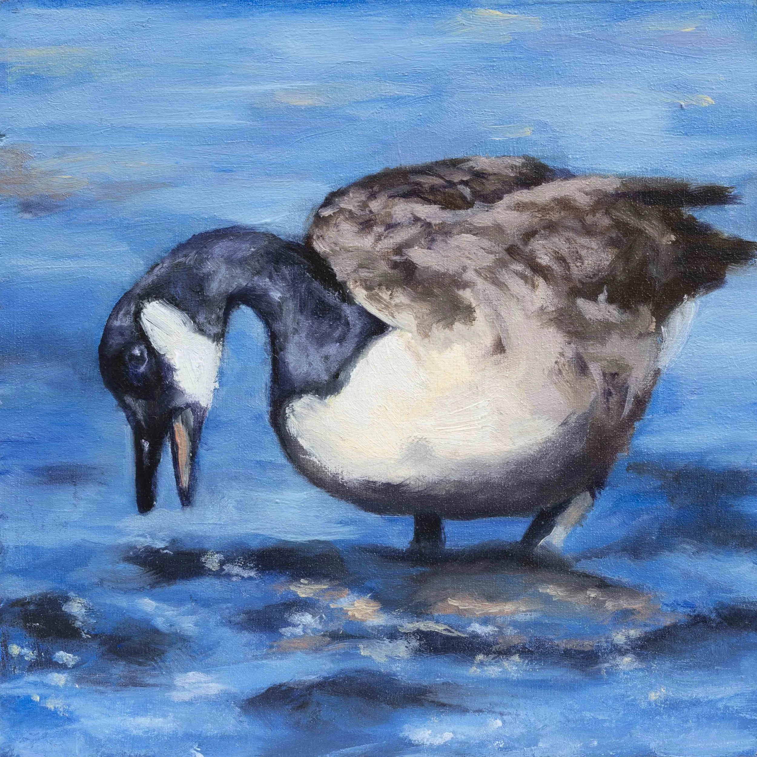 goose_catherinepurdy_oil_small.jpg