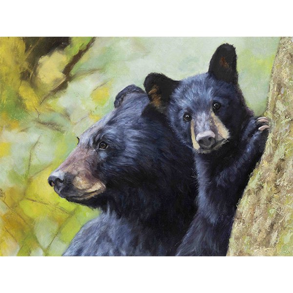 blackbears_catherinepurdy_square.jpg