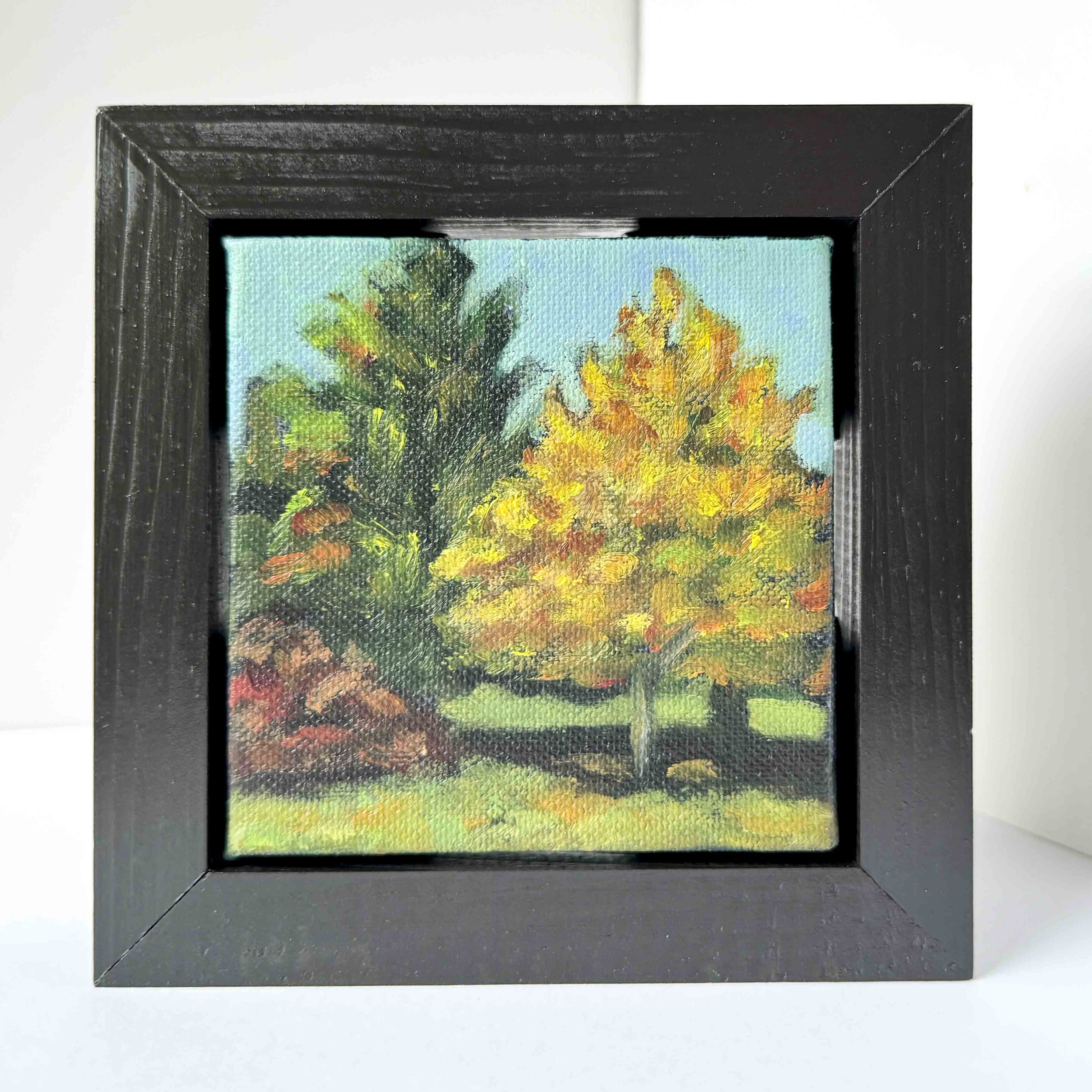 FallTrees2_Web.jpg