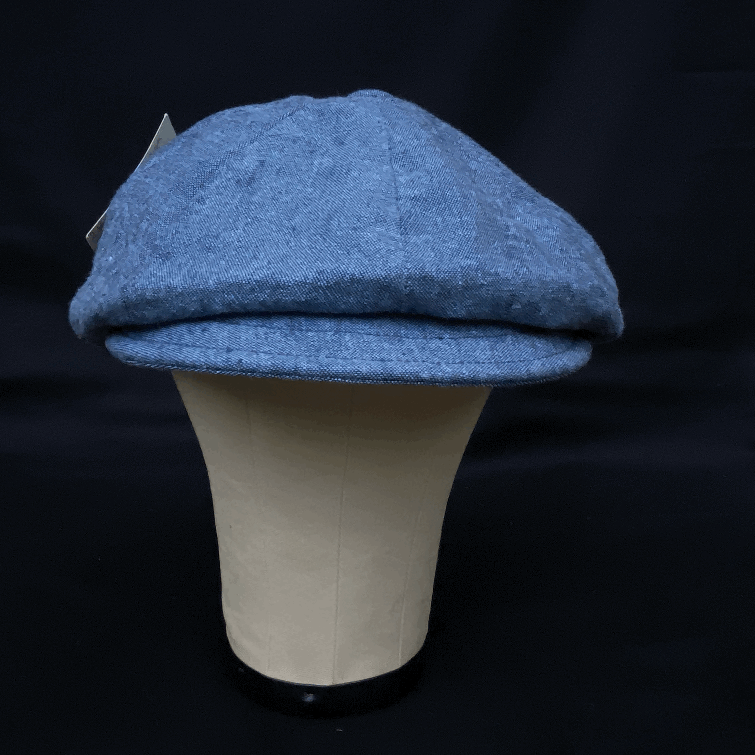 NewsBoyCap in Style in Fashion