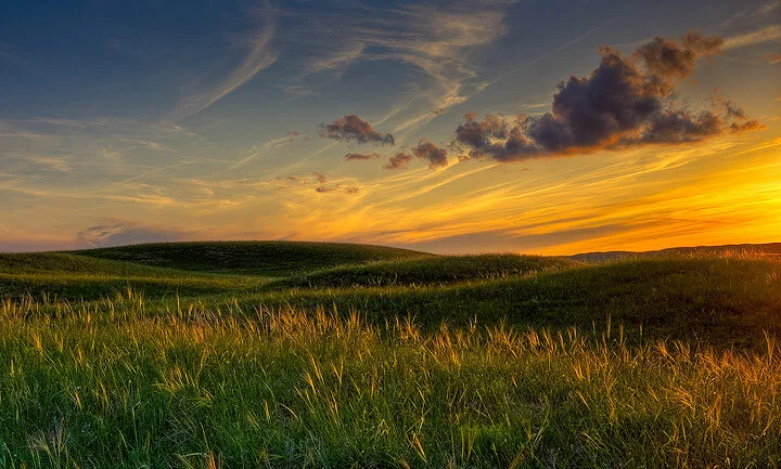 tallgrass4.jpg
