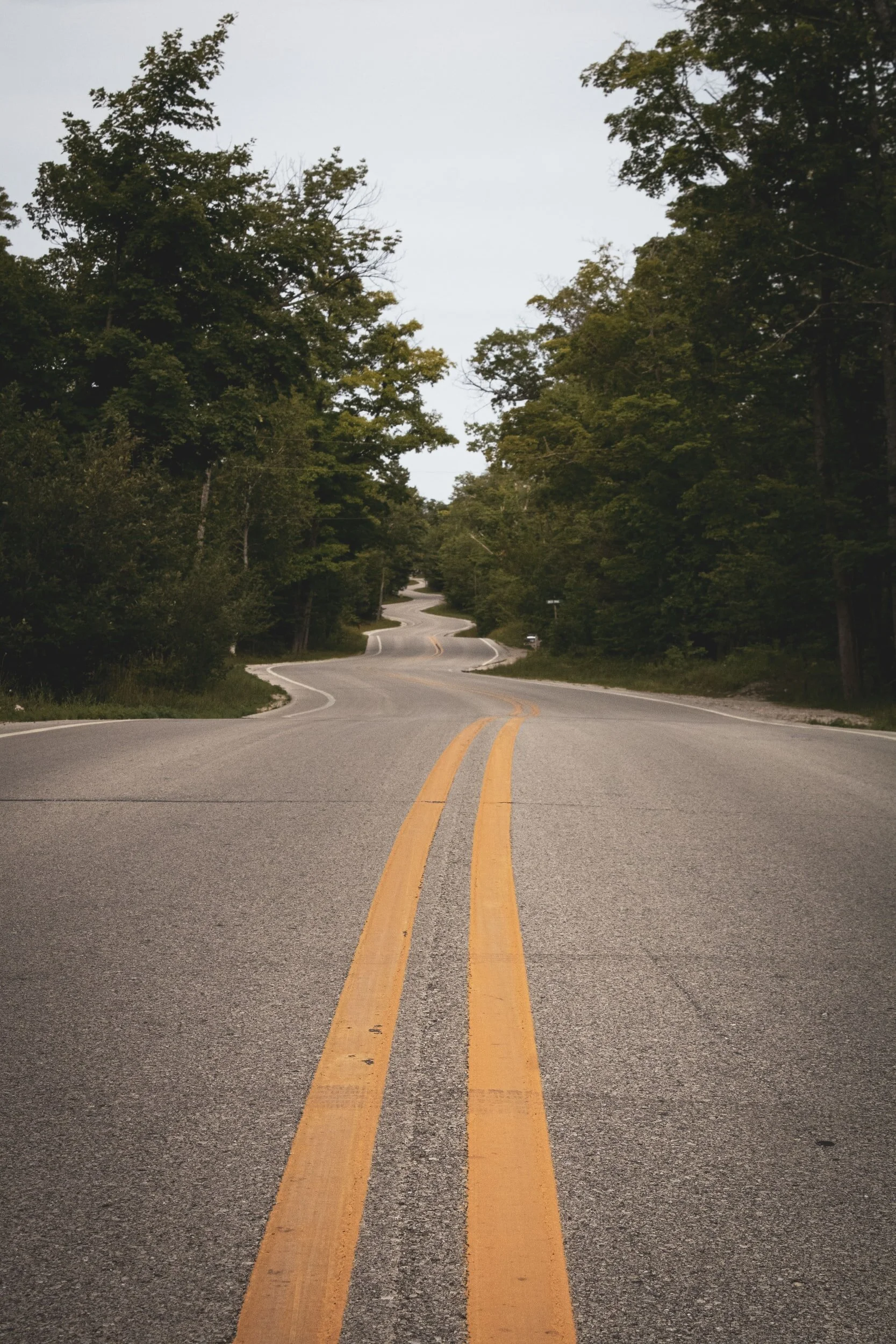unsplash-image-hBO4QsvZm5Q.jpg