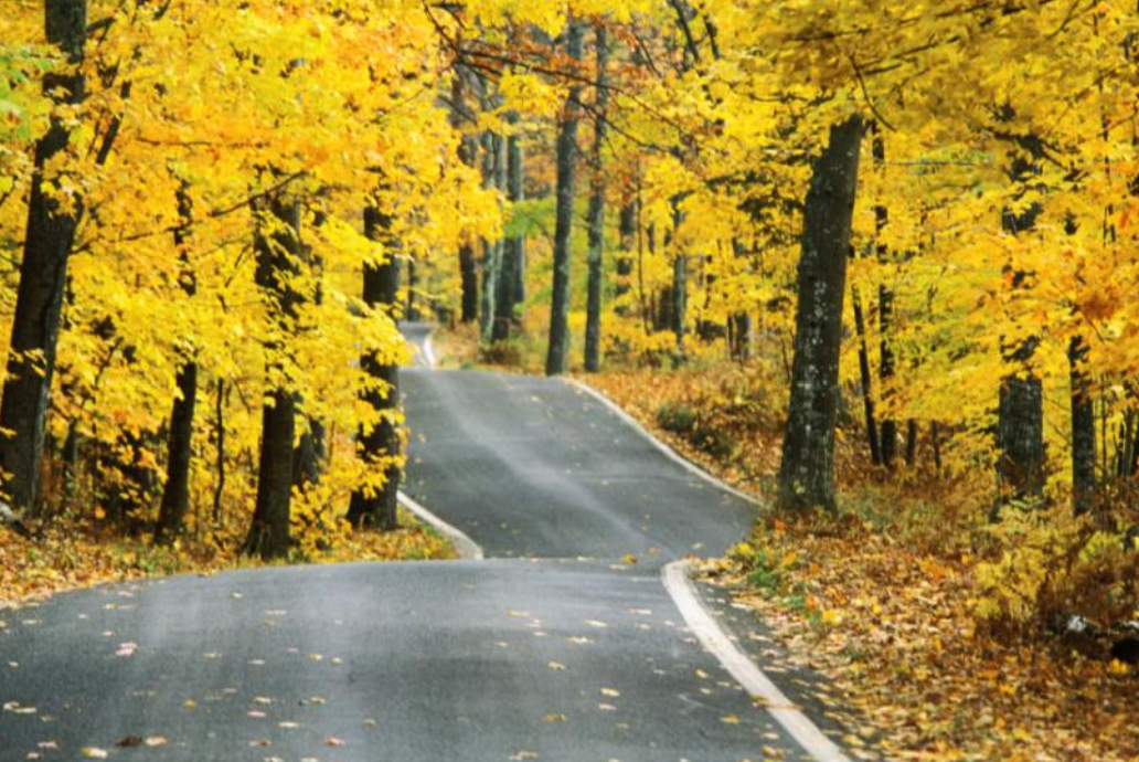 iCone - Stopped Traffic Advisory System