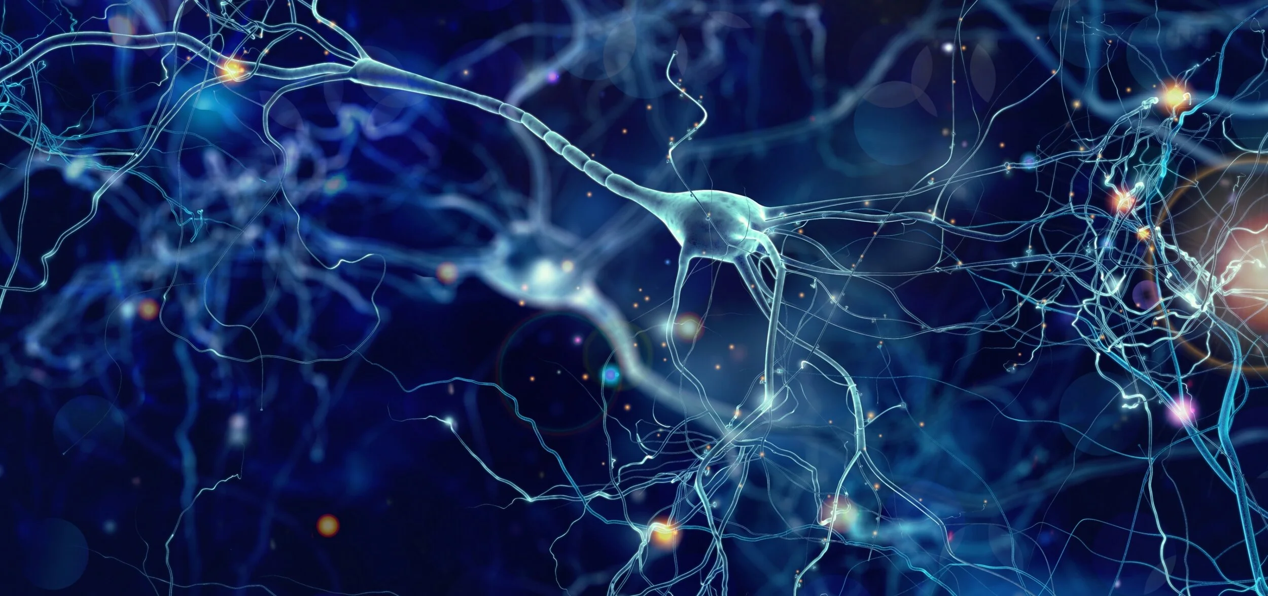 CLCF1/CNTFR PNAS Paper Featured by Stanford Engineering