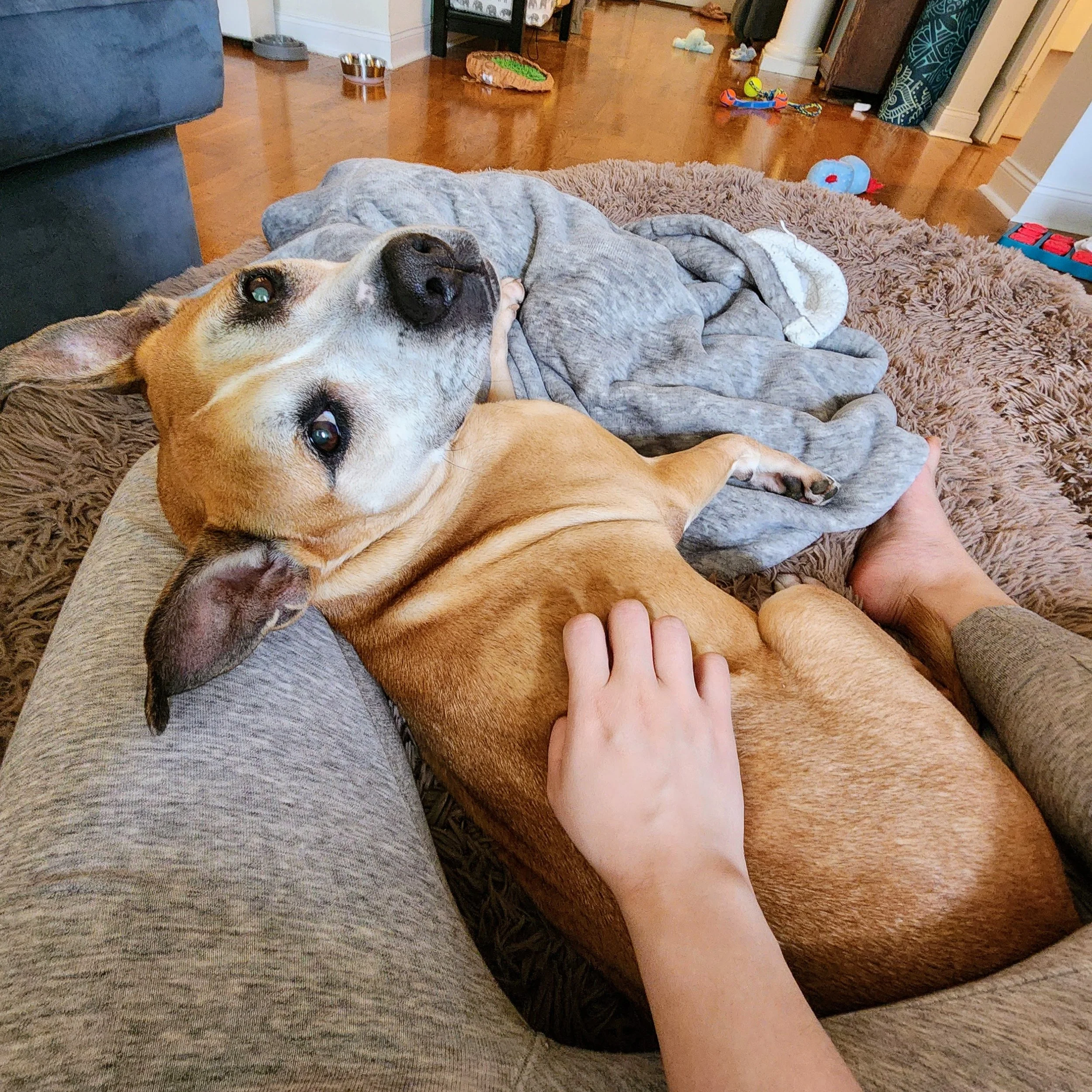 Sweet Gracie