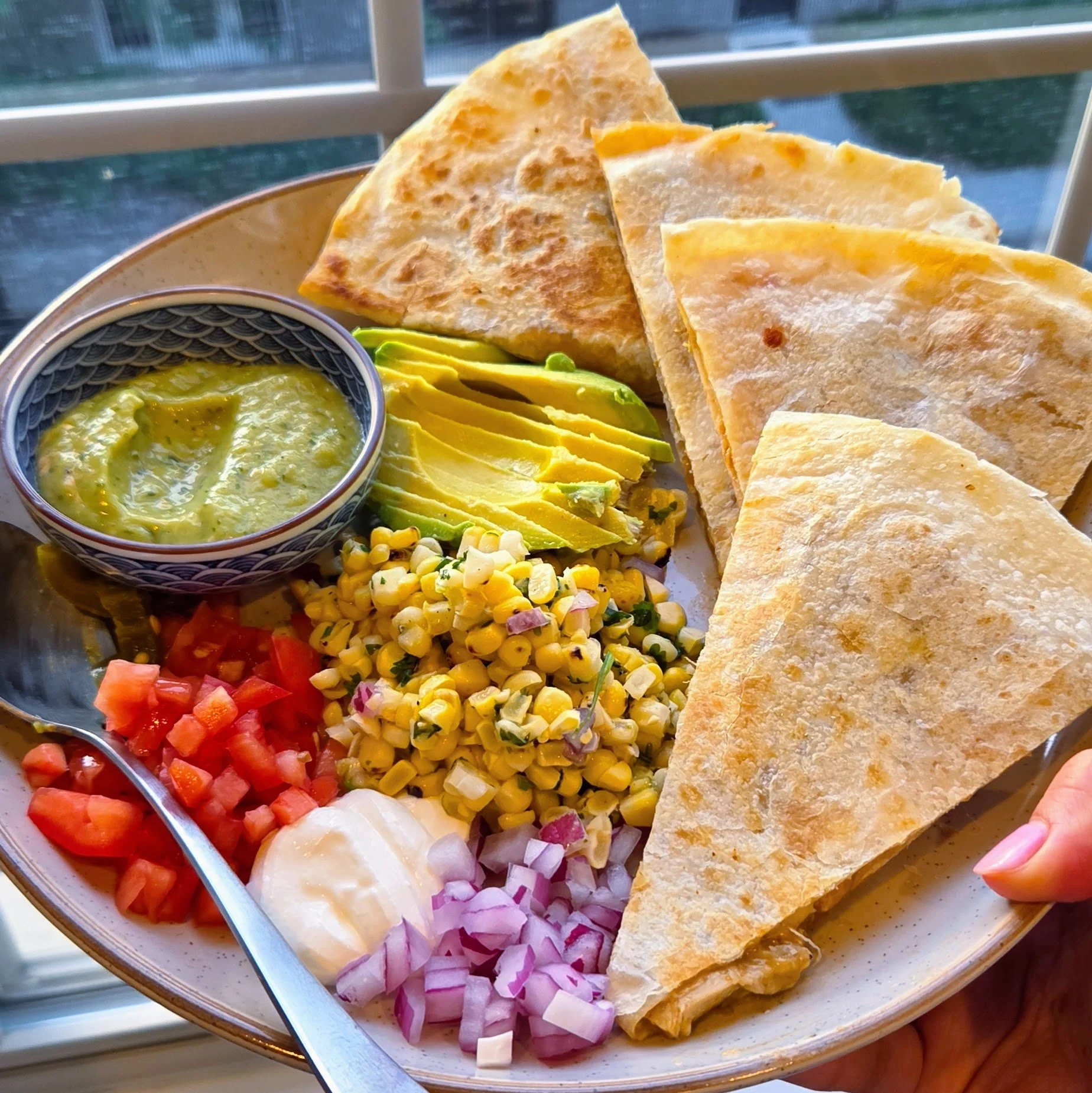 Cantina chicken quesadillas in natural sunlight