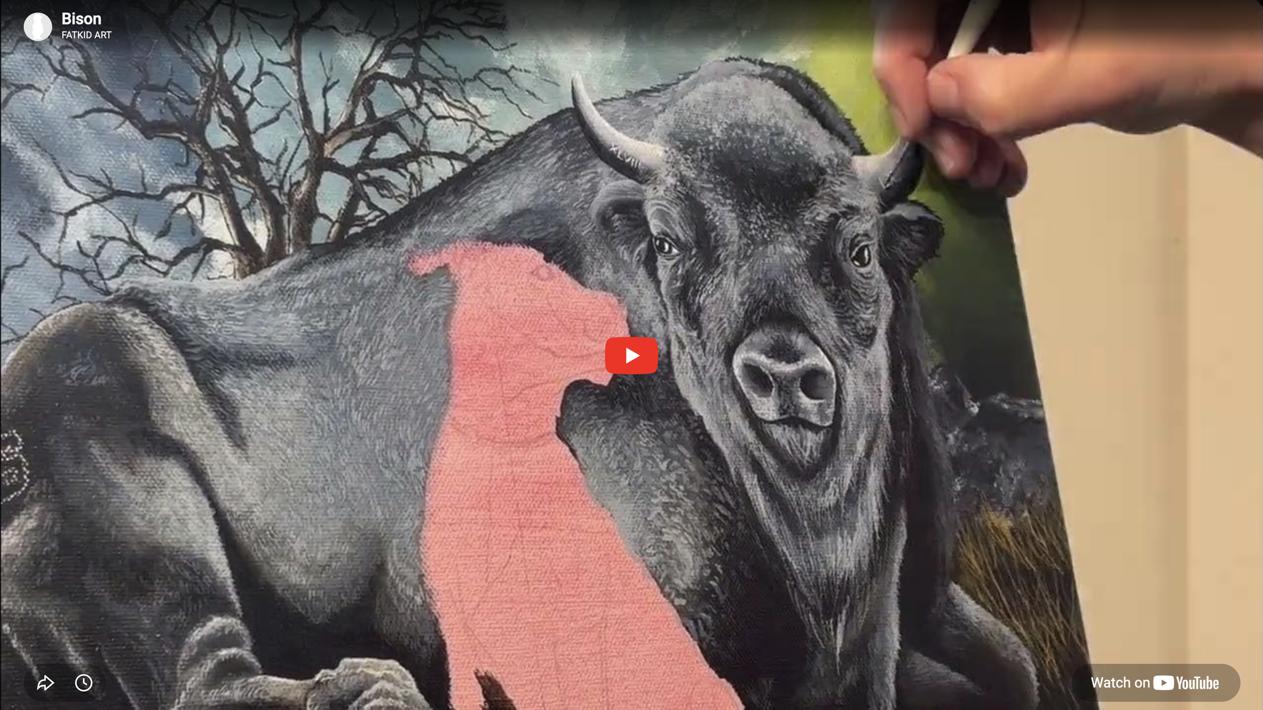 Bison - Time Lapse