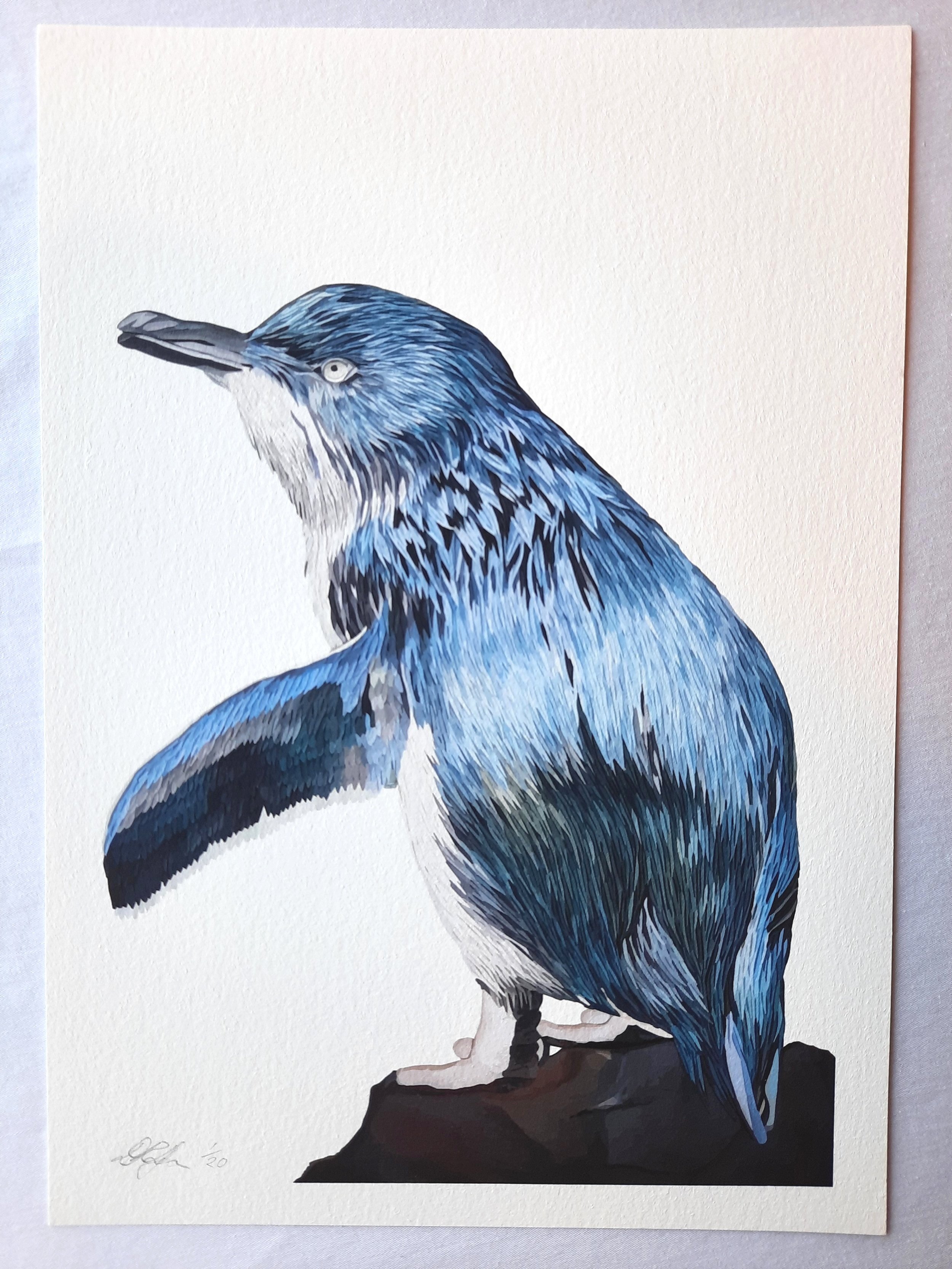 Moana+Korora+Blue+Penguin+Rock+Giclee+Print+Front.jpg