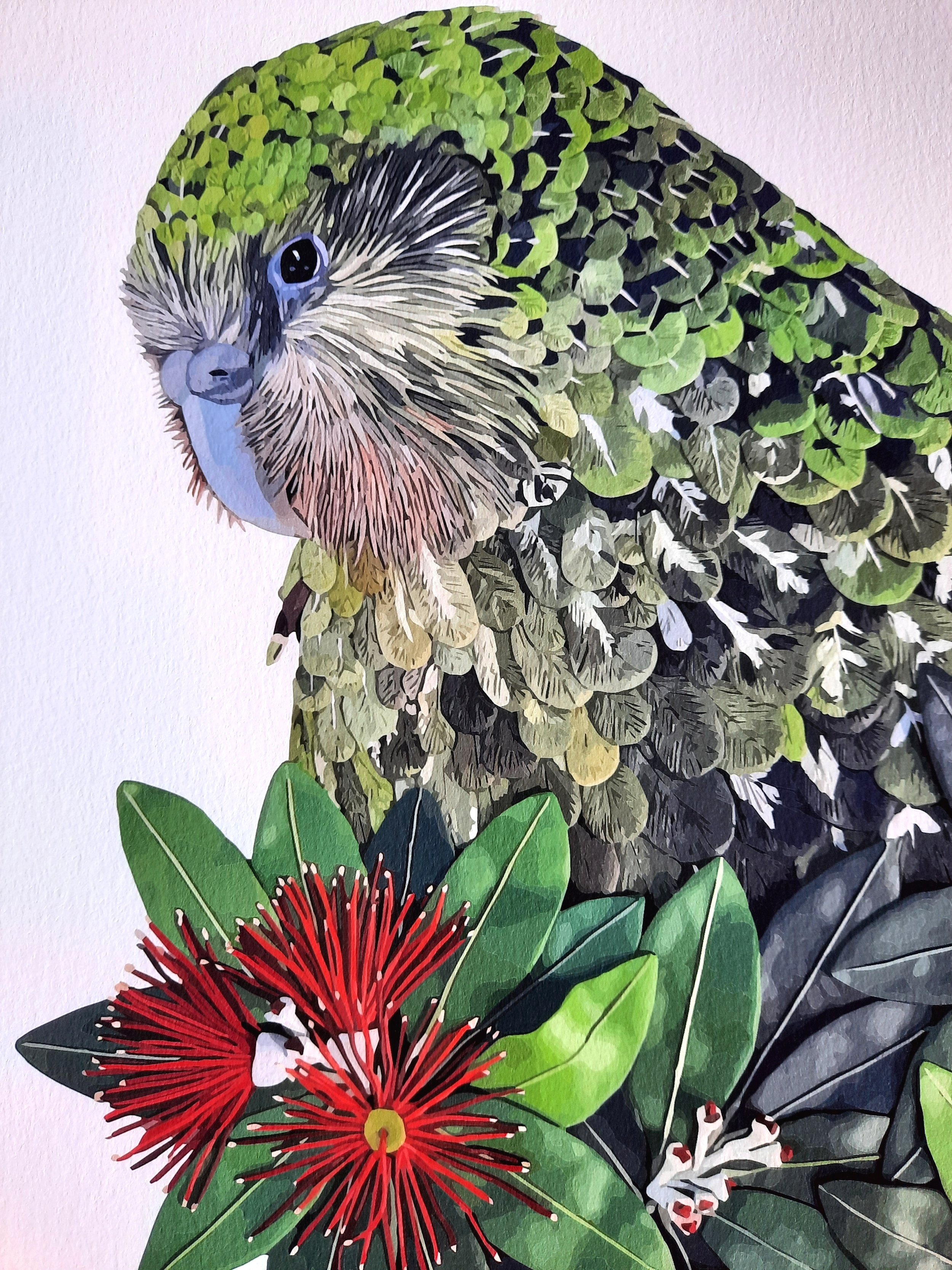 Hautoa+Huhu-+Kakapo+New+Zealand+Parrot+Bird+Giclee+Print+Mid.jpg