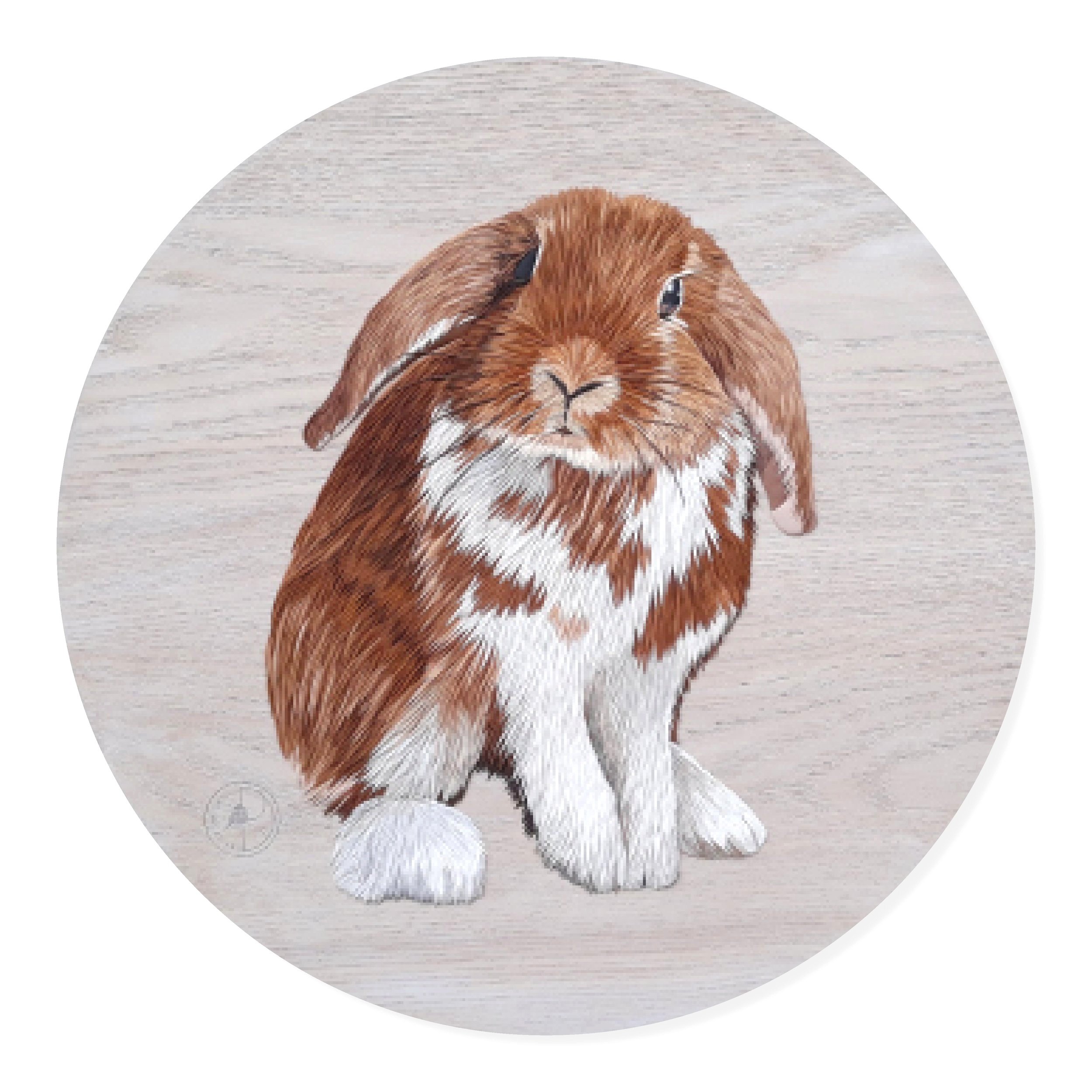 Nia-Lop+Bunny+Rabbit+Polymer+Clay+Artwork+JPEG.jpg