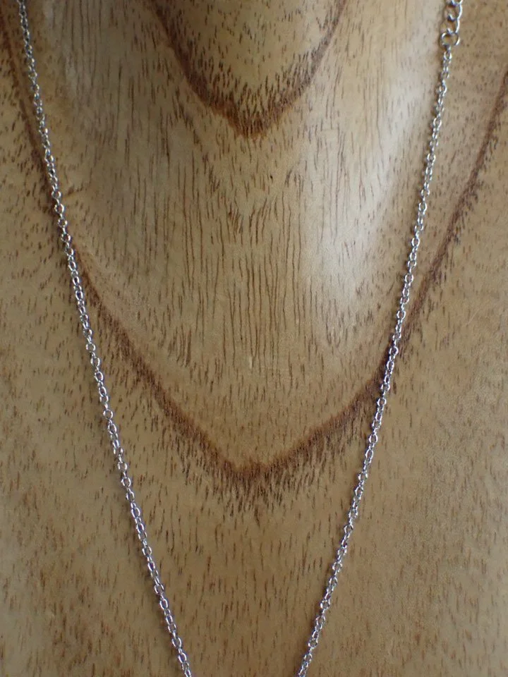 P1010059.JPG