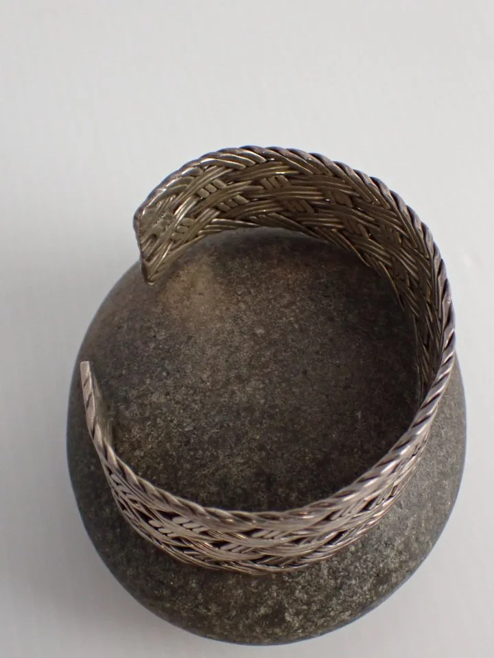 P1010030.JPG