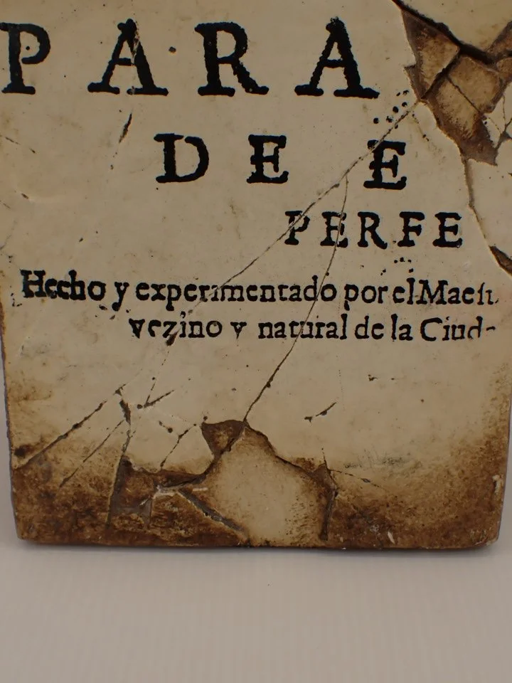 P1010011.JPG