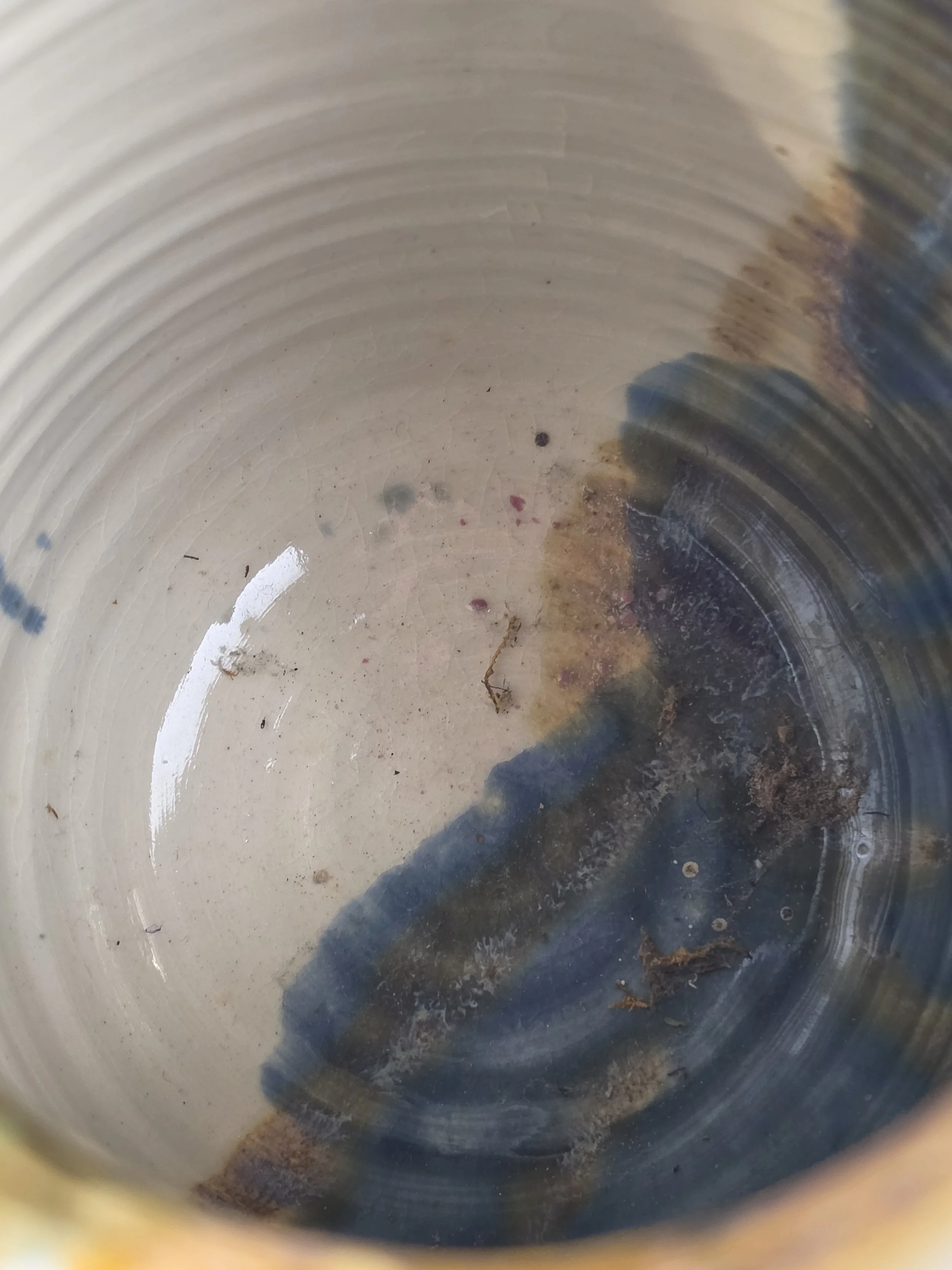 20261020_044731.jpg