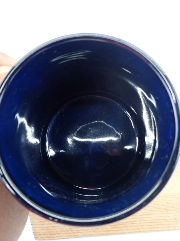 P1010056.JPG