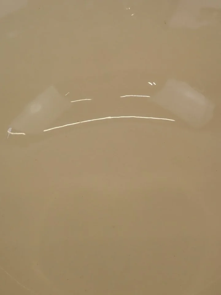 P1010027.JPG
