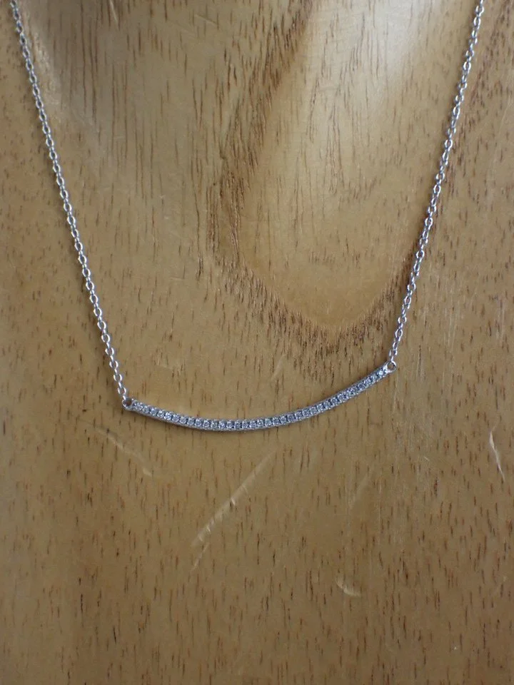 P1010017.JPG