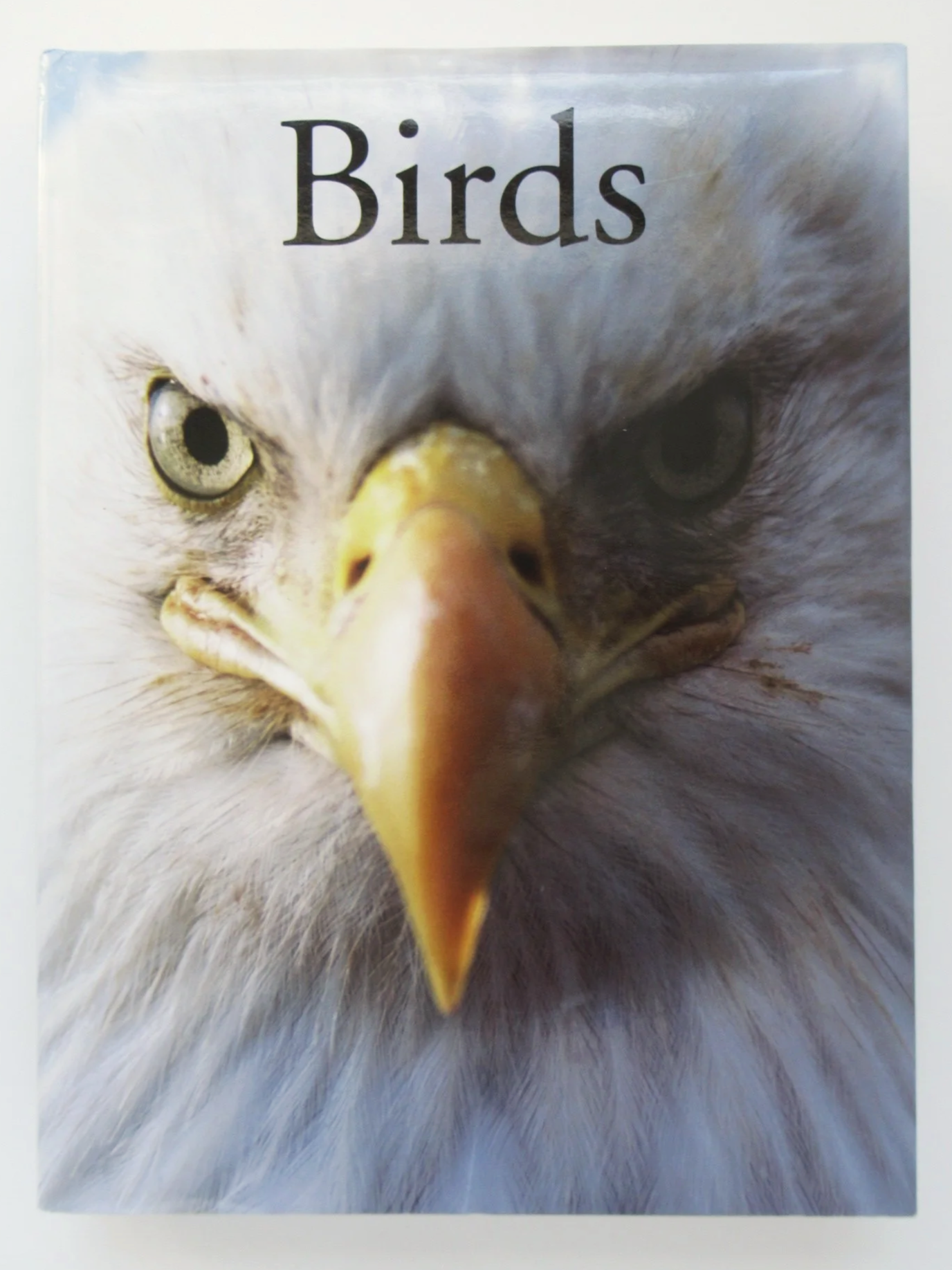 IMG_3724.png