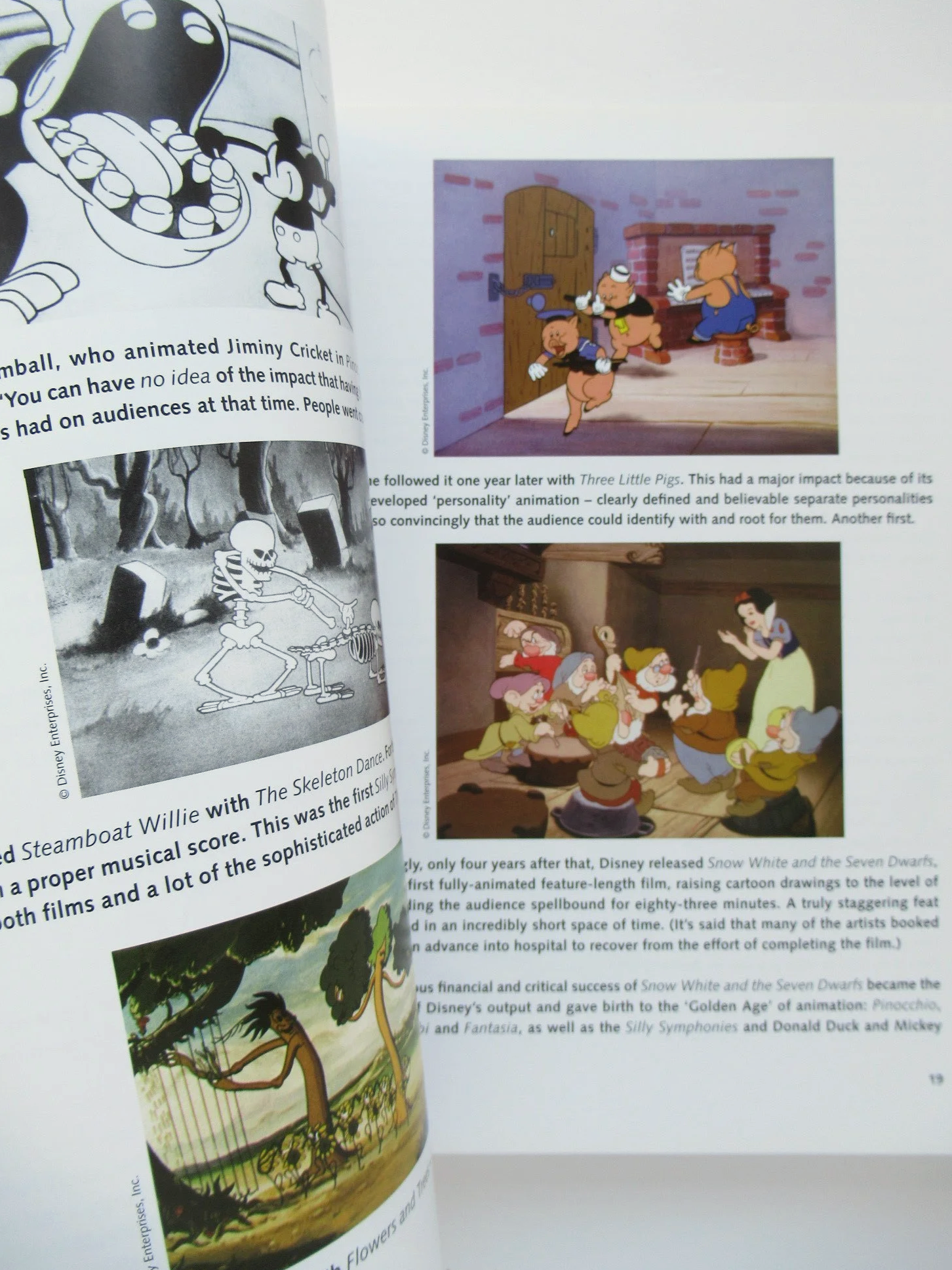 IMG_4174.png