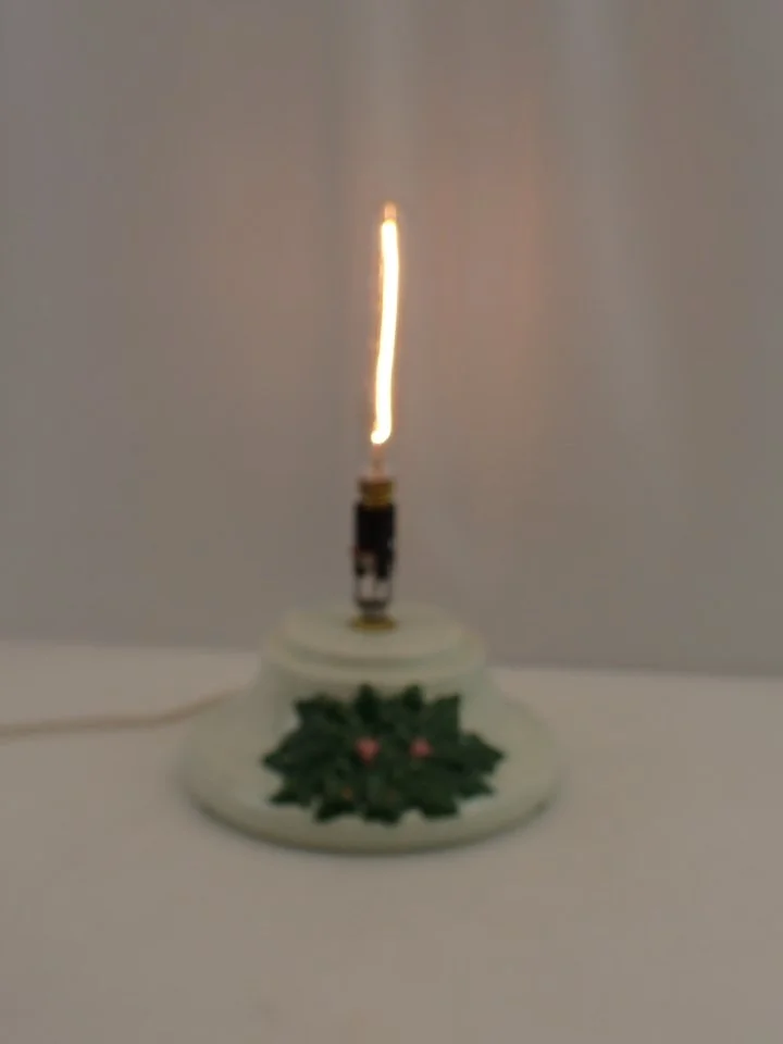 P1010069.JPG