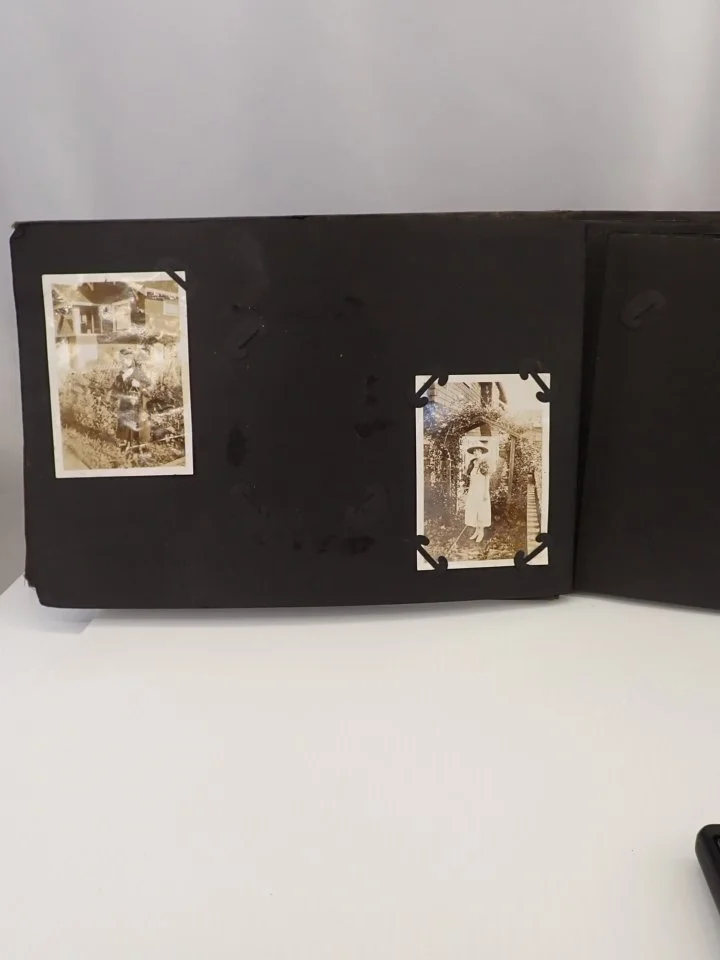 P1010003.JPG