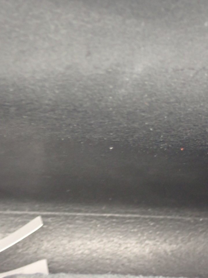 P1010032.JPG