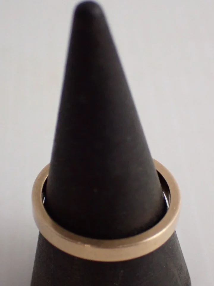 P1010028.JPG