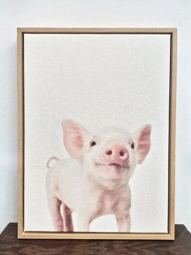 This Little Piggy Canvas Print