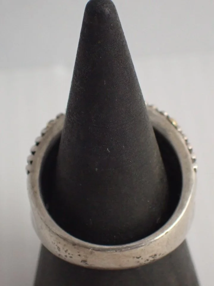 P1010047.JPG