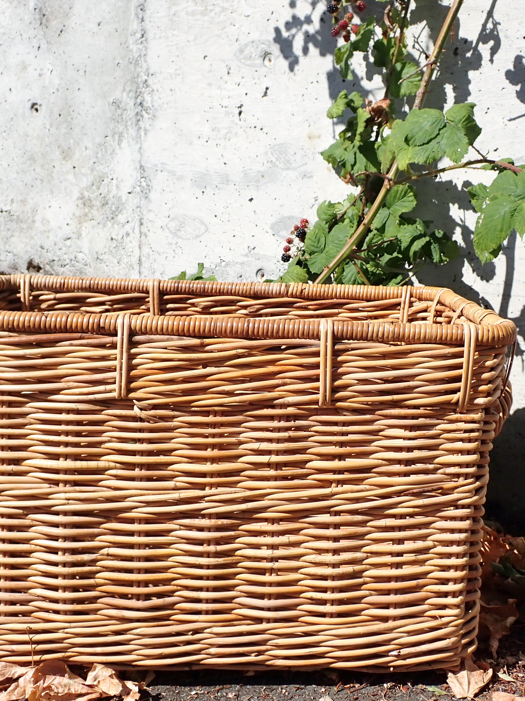 WIN+Online+Shop+Women+In+Need+Community+Cooperative+Resale+Thrift+Store+Jewelry+Gold+Silver+Clothing+Shoes+Home+Interior+Decor+Furniture+Antiques+Vintage+Books+Christmas+Victoria+BC+%2817%29.png