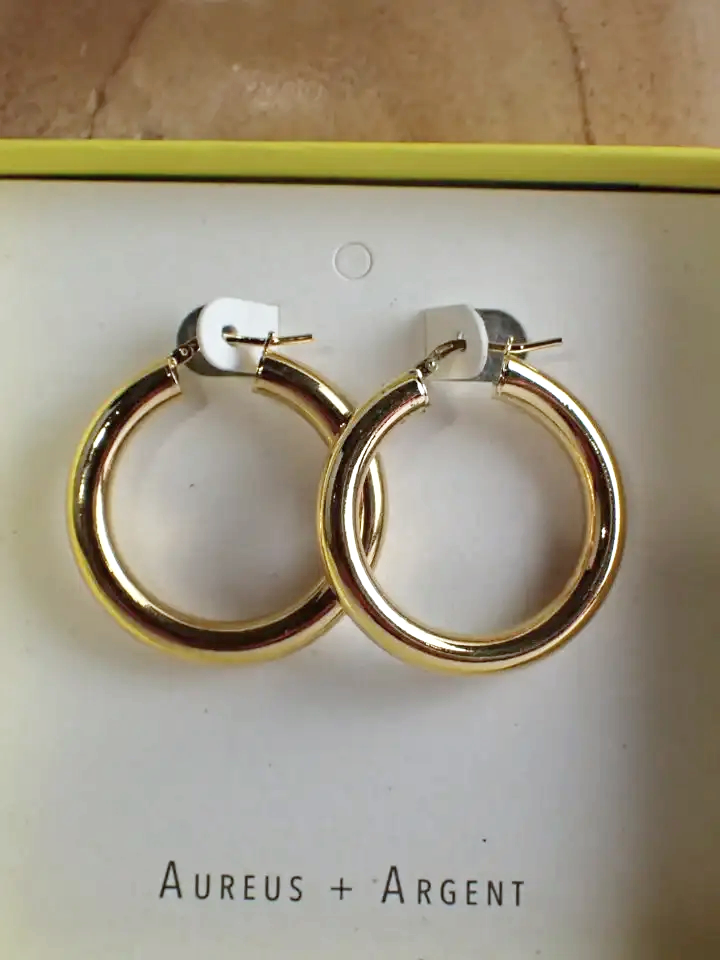 Banana Republic Italian Gold Tone Hoop Earrings