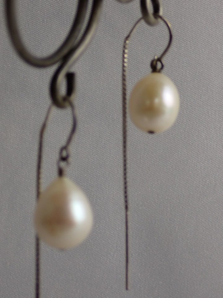 P1010015.JPG