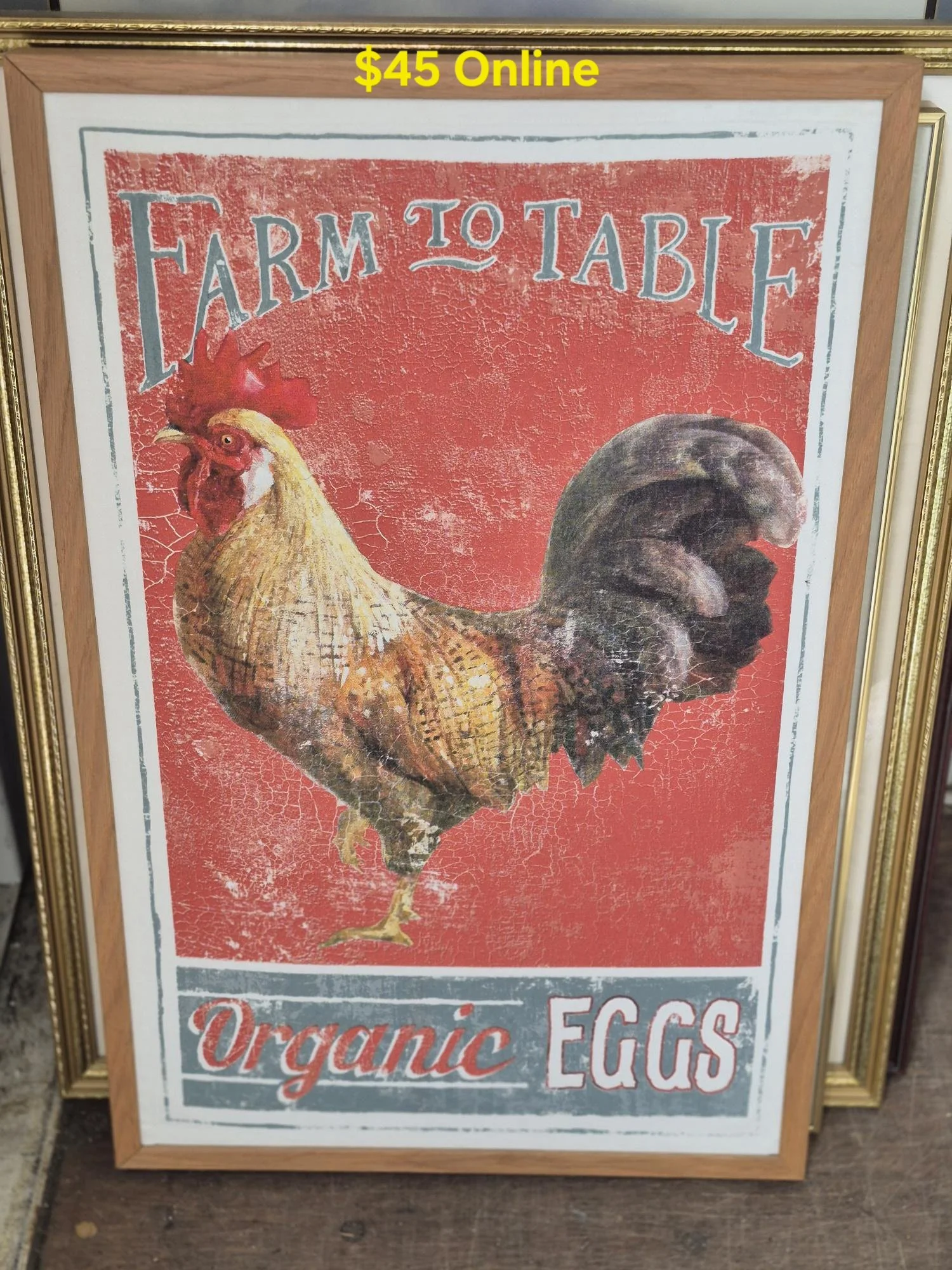1000026028.jpg