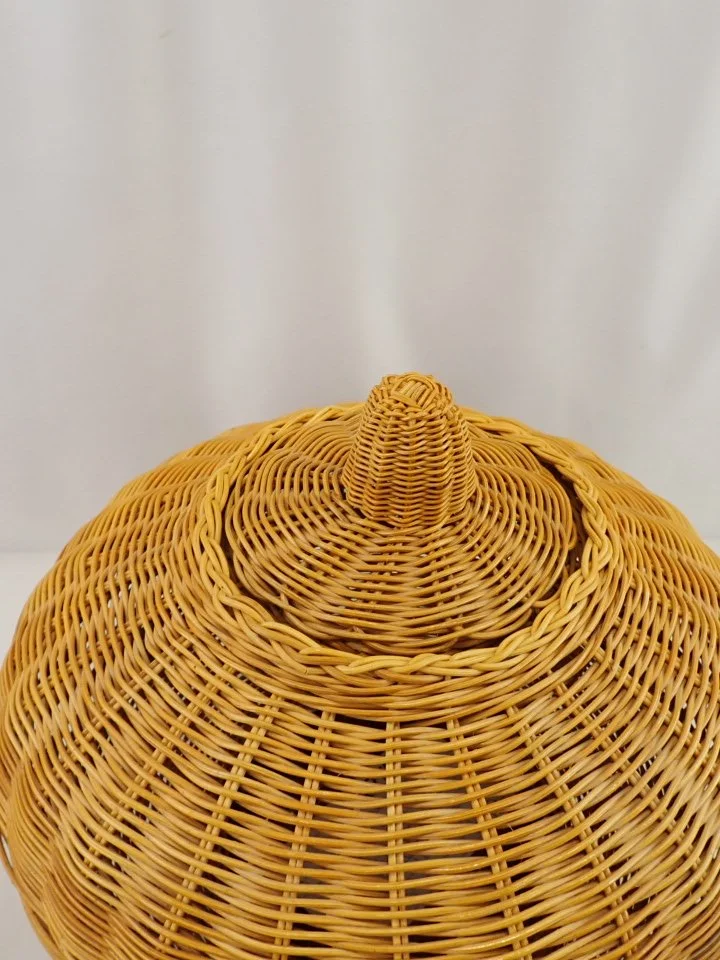 P1010046.JPG