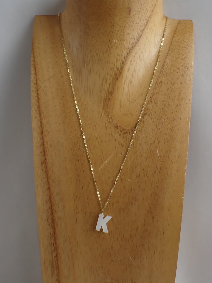 P1010045.JPG