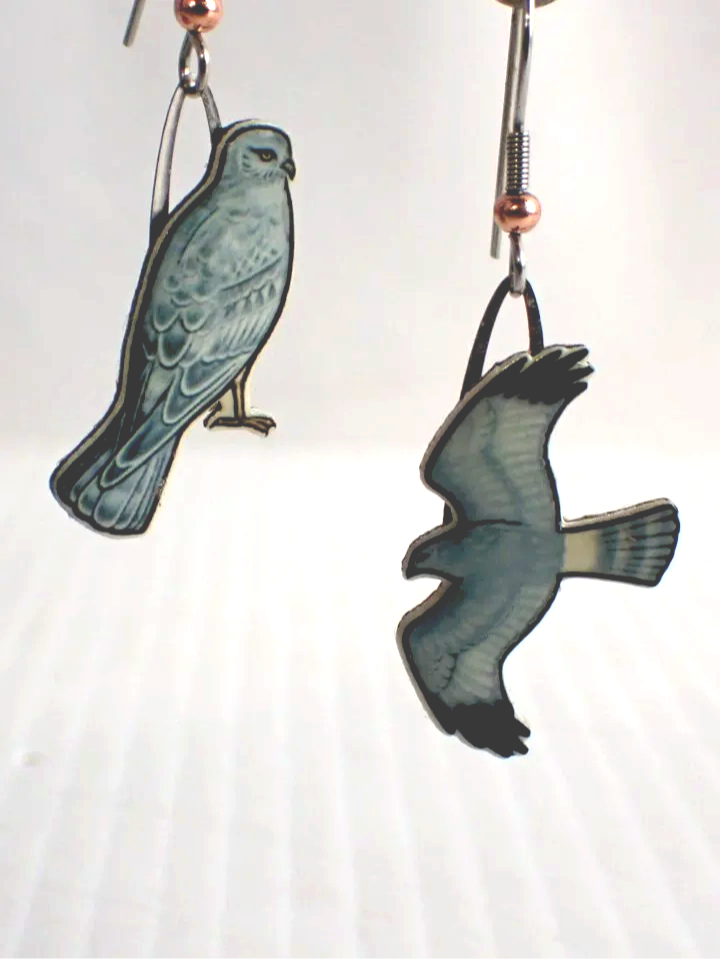 Jabebo Studio Post Consumer Paperboard North Harrier Inspire Curiosity Earrings