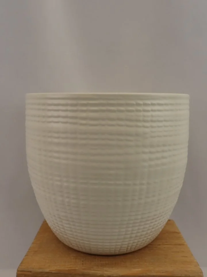 P1010069.JPG