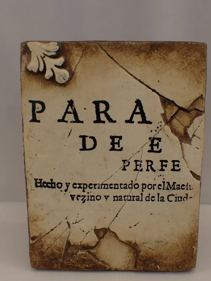 P1010010.JPG
