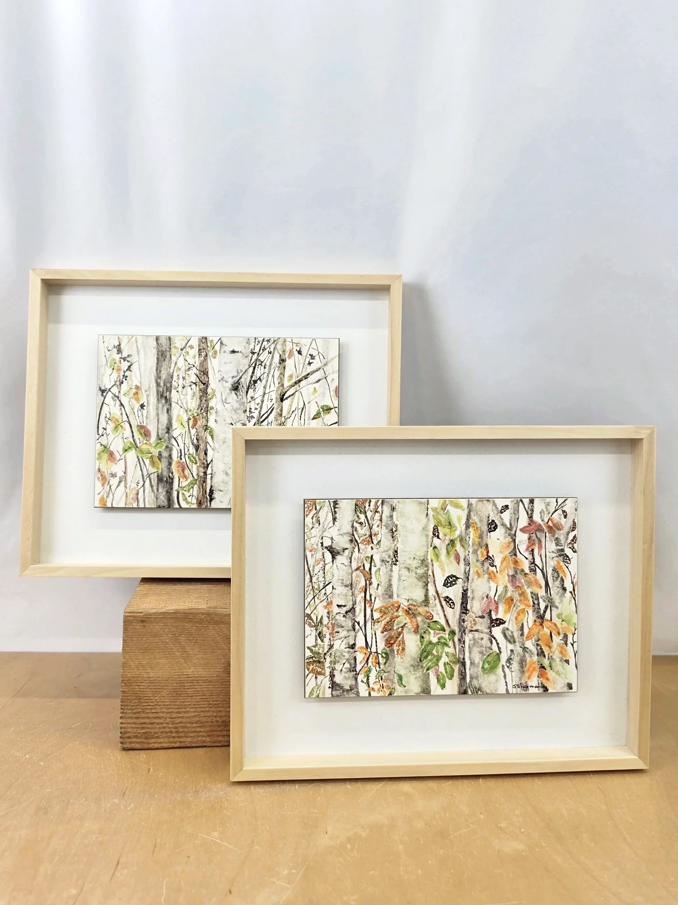 Joan Sherman Athabassa AB. Birch in Fall Watercolours