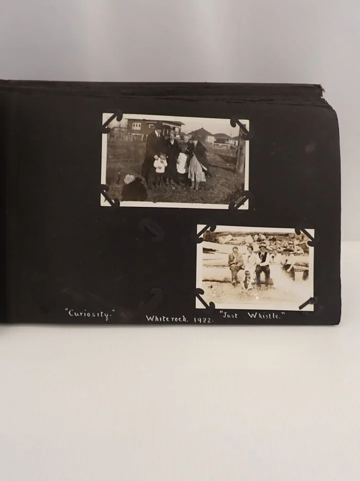 P1010004.JPG