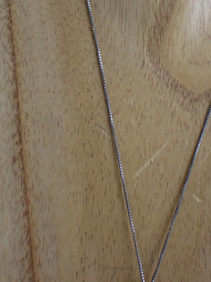 P1010005.JPG