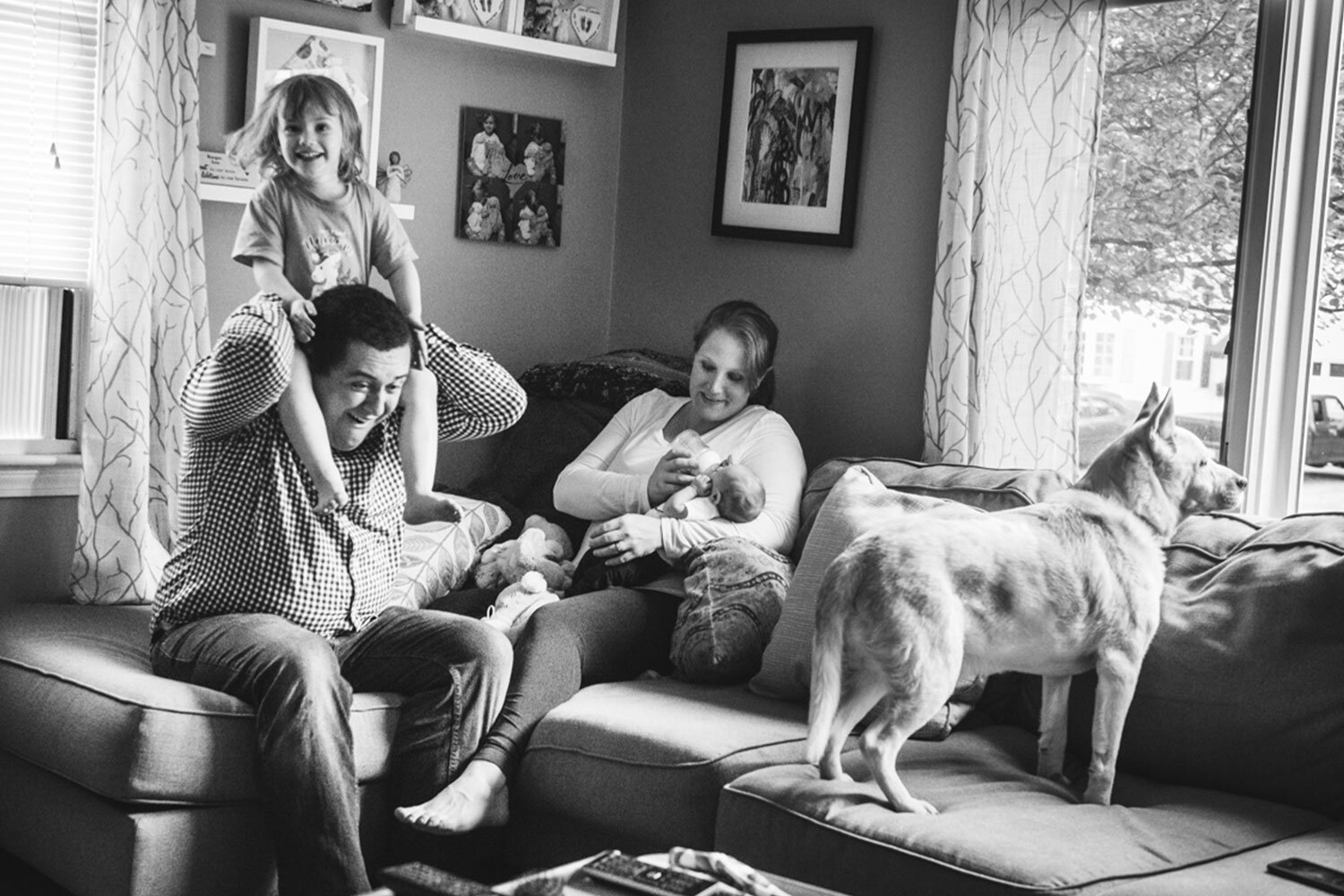 playful family at home seated in their living room with their dog looking out the window