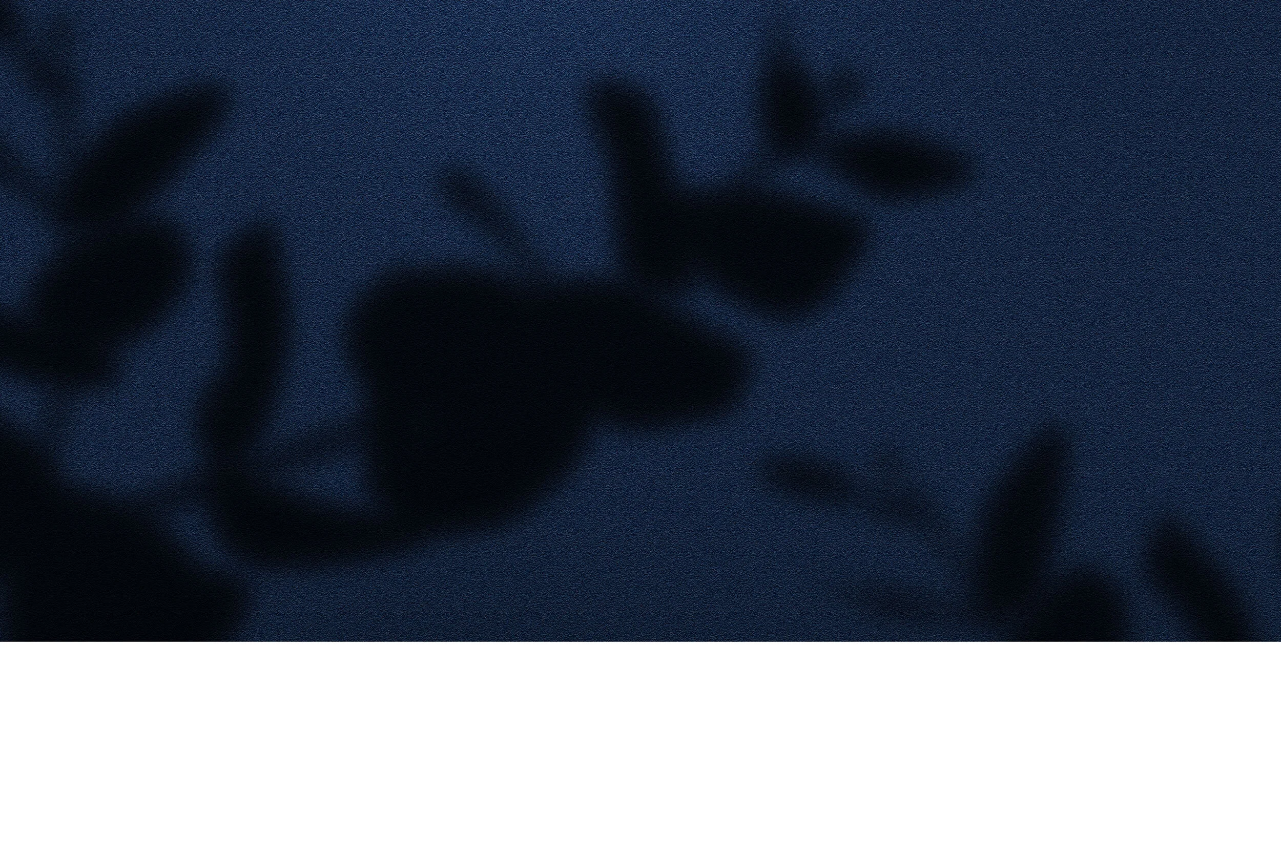 blue-white-banner.jpg