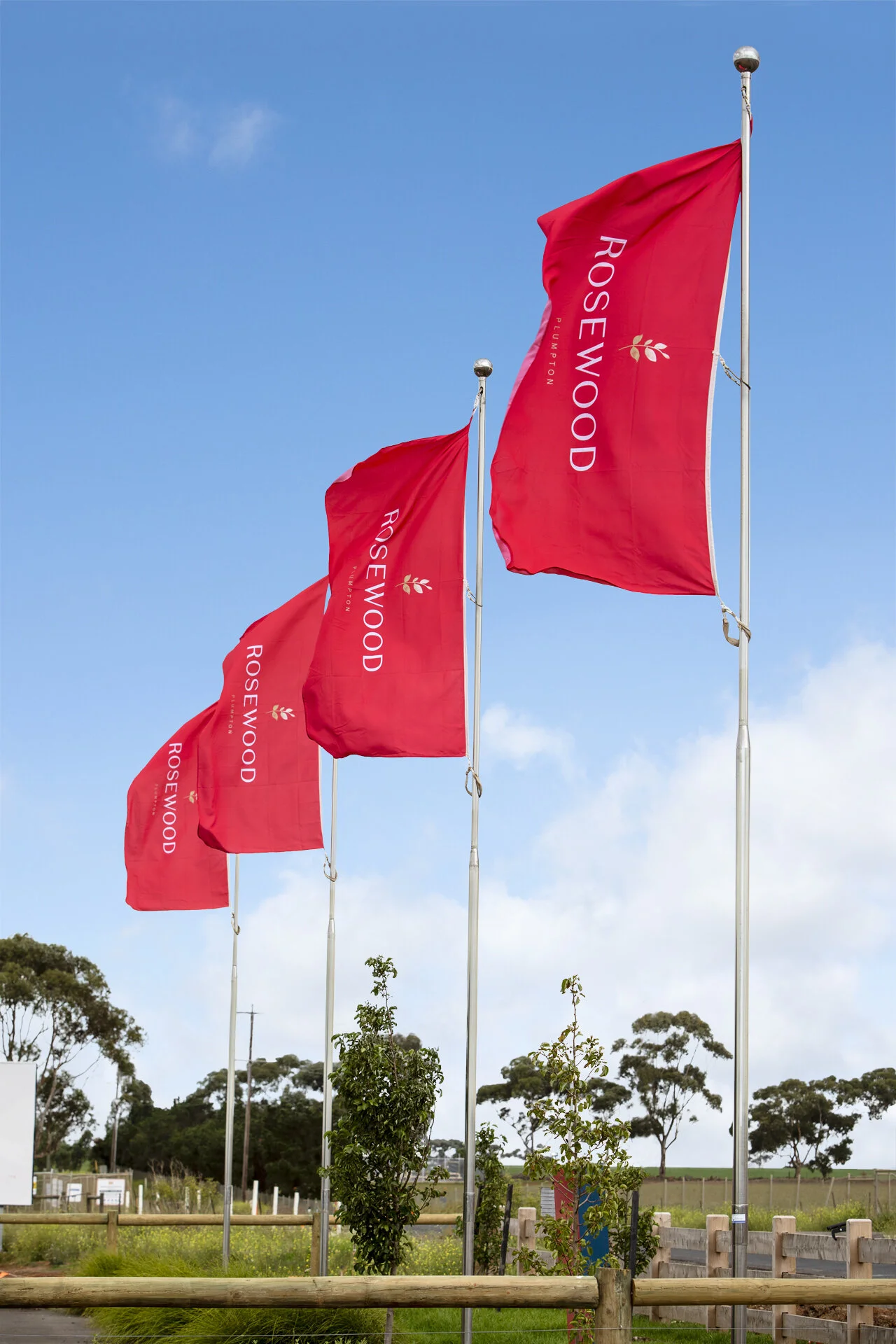 Flags_892_LowRes.jpg
