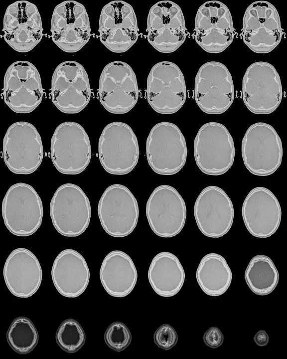 Grid%23920.jpg