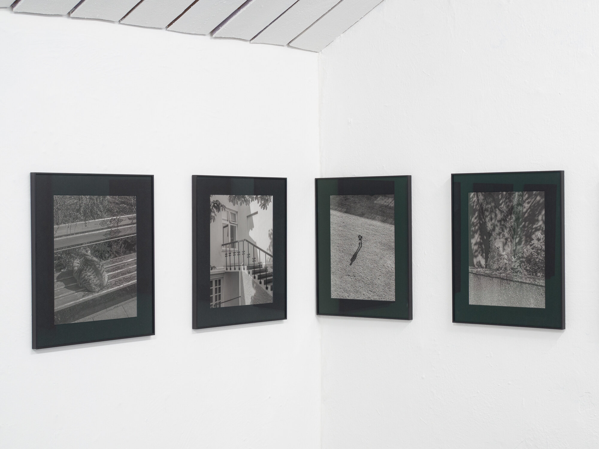 SKRÖLT-EXHIBIT-5.jpg