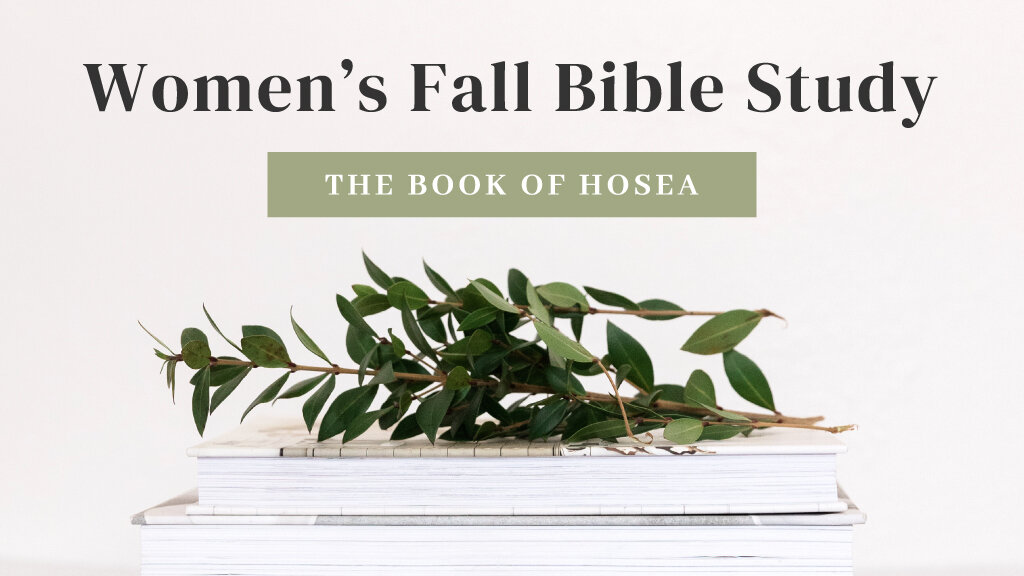 Hosea: Week 4 episode artwork