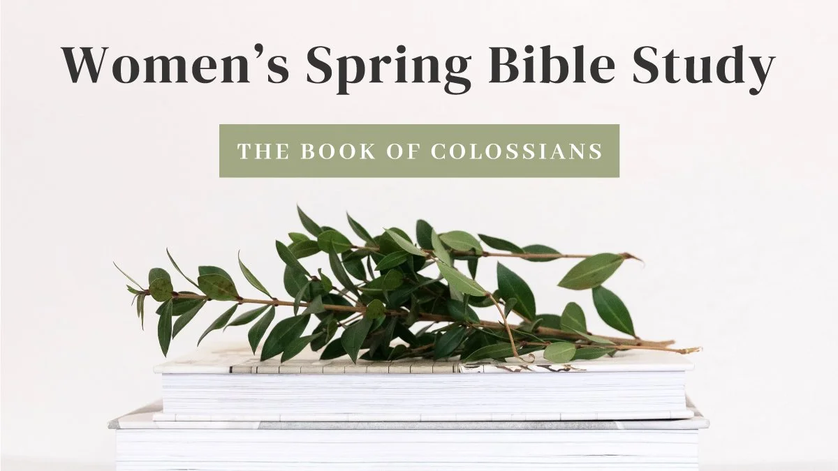 Colossians: Week 4 episode artwork