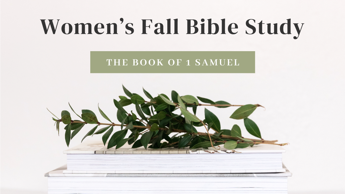 1 Samuel: Week 4 episode artwork