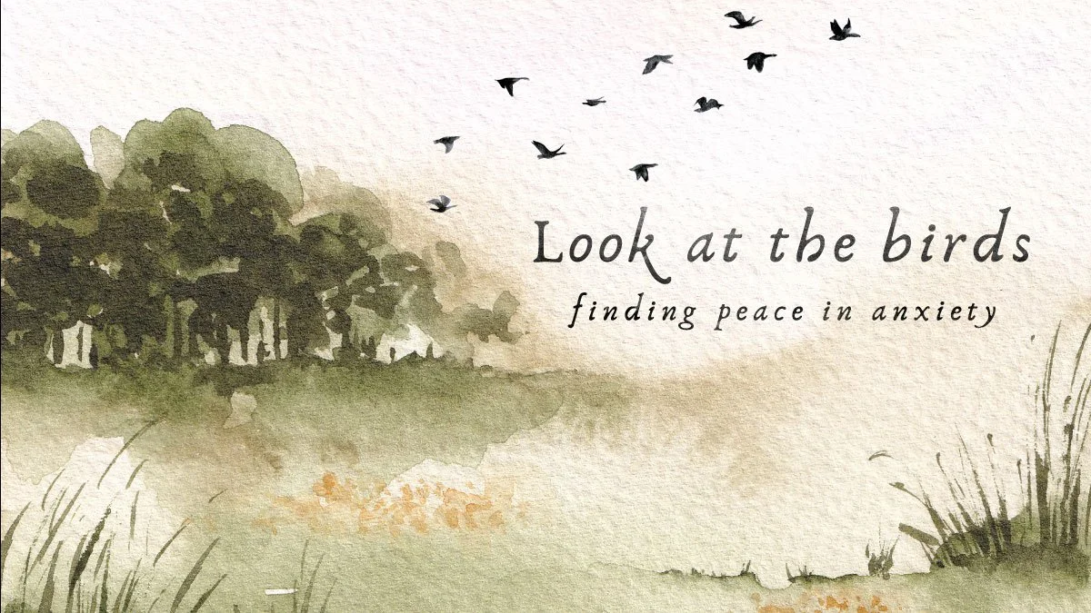 Anxiety and Future Provision (Matthew 6:19-34) episode artwork